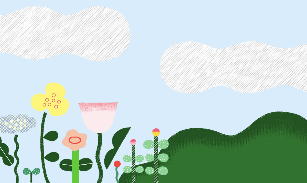 taneオフィシャルオンラインストア